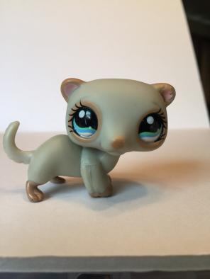 LPS #1172 Ferret
