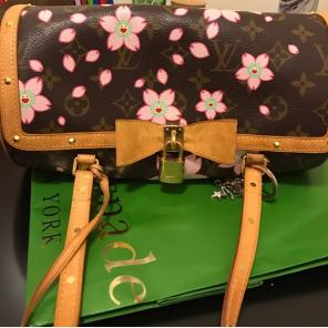 Limited Edition Louis Vuitton Papillon