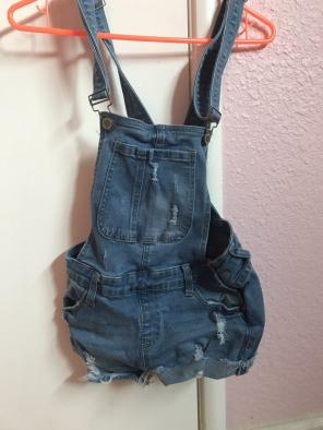 Light wash Distressed Overalls