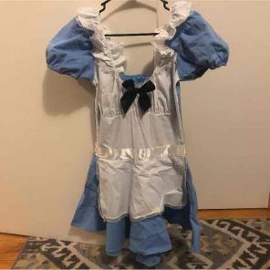 Halloween Alice In Wonderland Costume