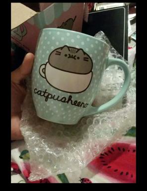 ADORABLE PUSHEEN BUNDLE