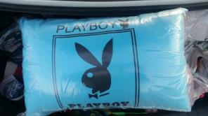 Playboy medium bed pillows