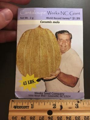 1 Package of Cantaloupe Melon Seeds