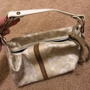 Small Coach Purse