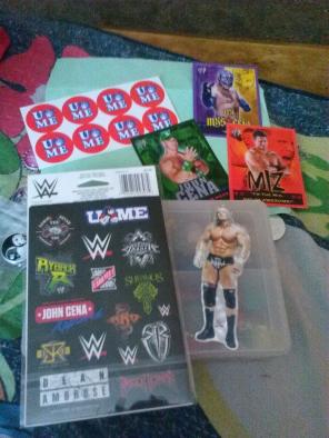 Wwe wrestling sticker lot