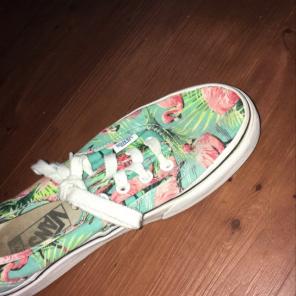 Flamingo Vans