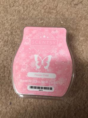 Flower Child Scentsy Bar