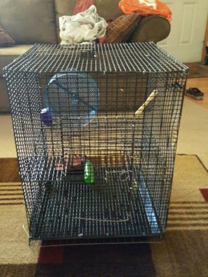Mini animal cage