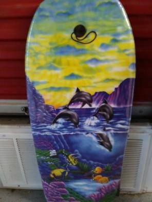 Dolphin boogie board.