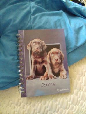 Journal