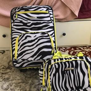 Zebra Suite Case With Matching Carry On