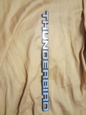 thunderbird car emblem