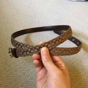 Coach belt