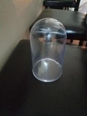 6 Plastic display dome with cover