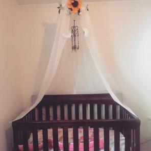 Hand made crib canopy!!