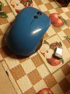 Wireless mouse