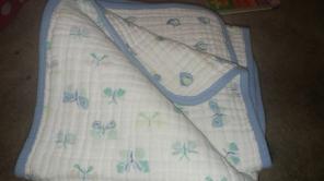Aden anais dream blanket
