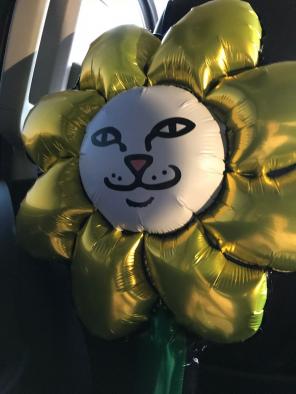Rip N Dip Original Flower Balloon L.A.