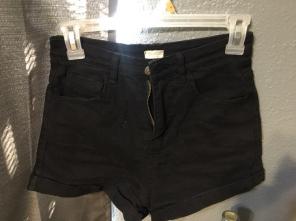 Brandy Melville High Waist Shorts