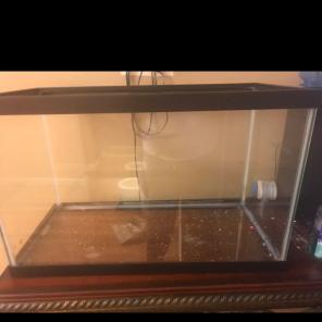 Fish Tank And Accessories