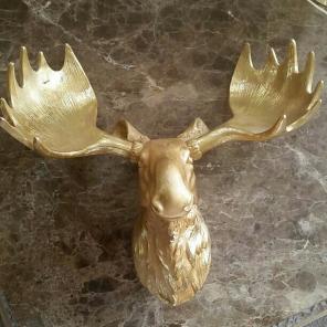 Gold moose