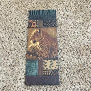 Cheetah Picture