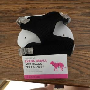Extra Small Boots And Barkley Dog Harnes