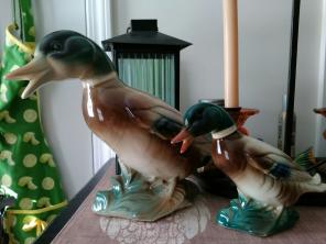 Vintage Royal Copley Ducks