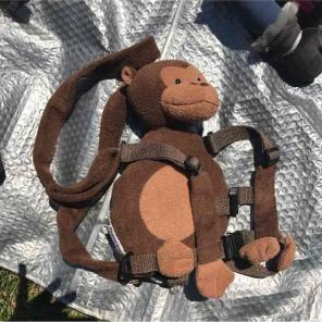 Gold bug monkey harness 2 in 1