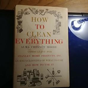 How to clean everything by Alma moore