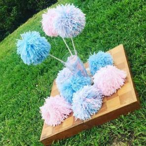 Gender Reveal Party Photo Prop Bundle
