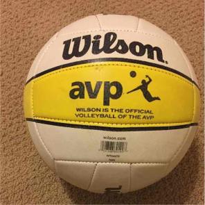 Wilson Volleyball