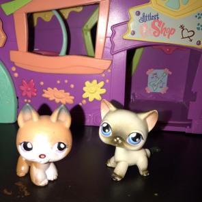 Lps cat and dog