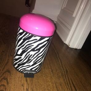 pink/zebra print mini garbage can