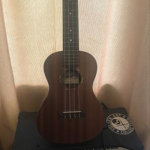 Protégé Concert Ukulele