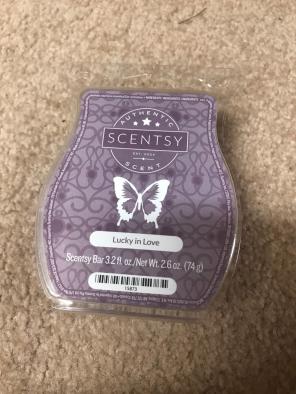 Lucky In Love Scentsy Bar
