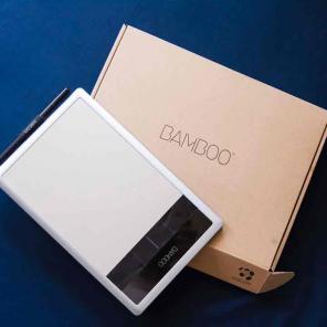 Bamboo capture pen and touch tablet