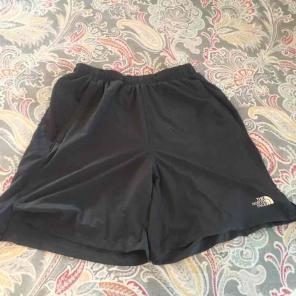 The north face shorts
