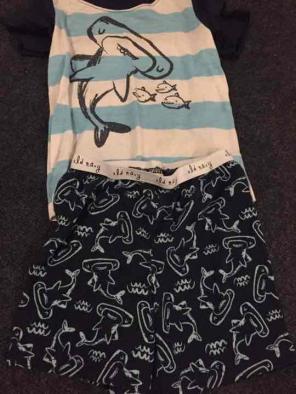3t boys pj set