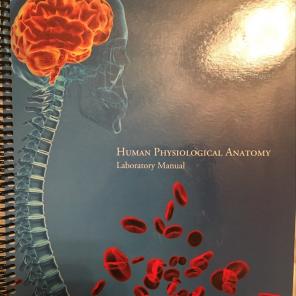 Human Physiology Anatomy Lab Manual