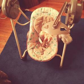 JUNGLE PRINT SWING