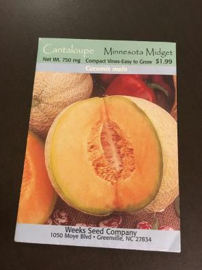 Cantaloupe Seeds 1 Package