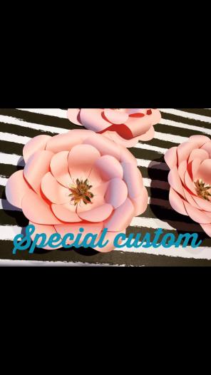 Custom for Ana