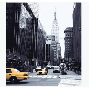 Manhattan City View Shower Curtain