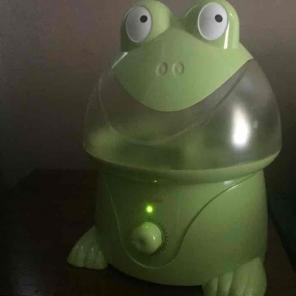 Crane Frog humidifier