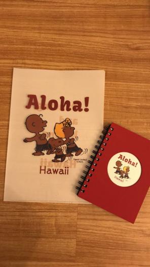 HI Exclusive PNTS licensed folder/note