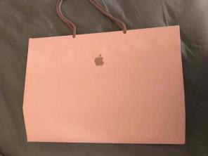 Large Apple bag