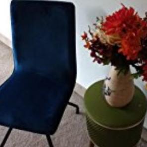 Dining Room Chairs Set of 2, Blue