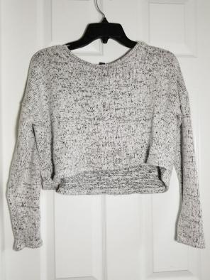 American Eagle Croptop Crewneck Sweater