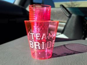 Team Bride Shot Glasses